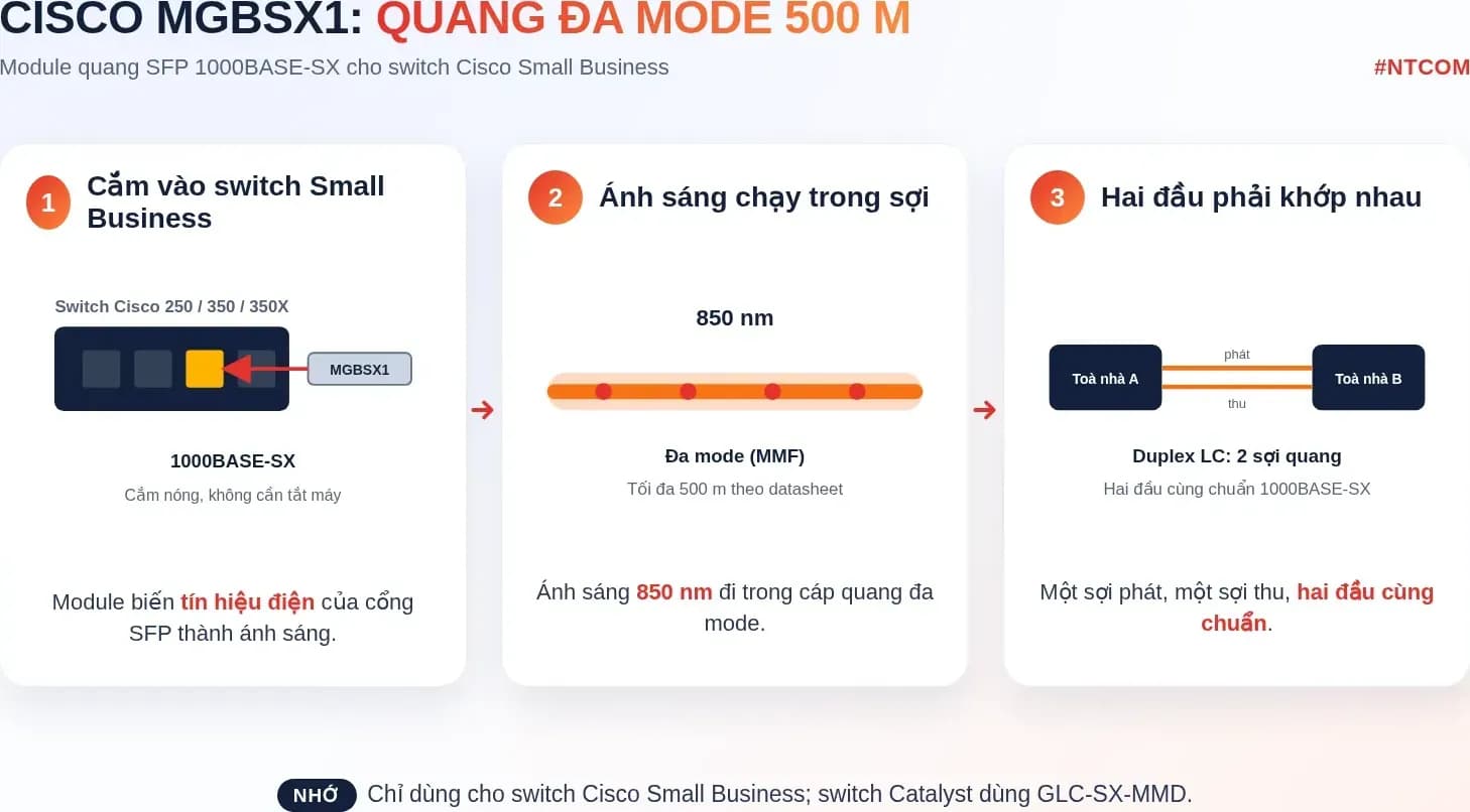Hiểu nhanh MGBSX1 bằng hình